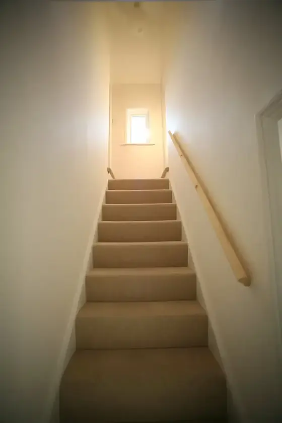 Looking up a carpeted Histon staircase with fresh cream walls, timber handrail and bright window