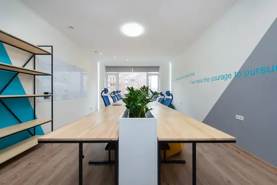 Bright office with a painted geometric feature wall and long shared desks