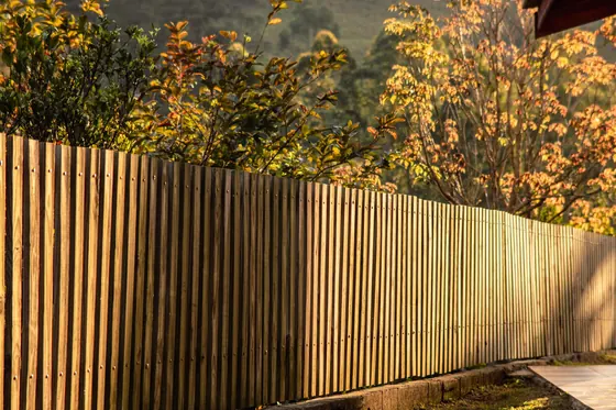 A long run of timber garden fence in low autumn sunlight