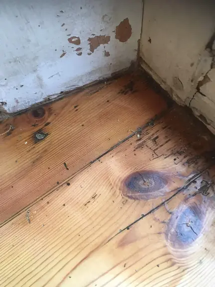 Floor Restoration Haddenham, Ely Floor Restoration Haddenham, Ely