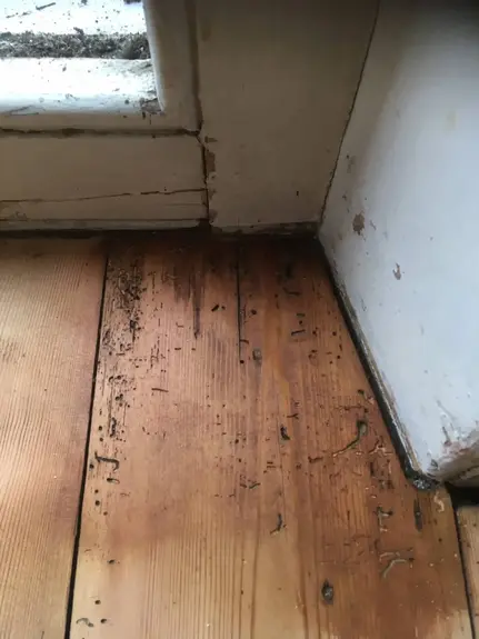 Floor Restoration Haddenham, Ely Floor Restoration Haddenham, Ely