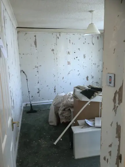 Carpentry/Plastering/Coving/Redecoration Cambridgeshire